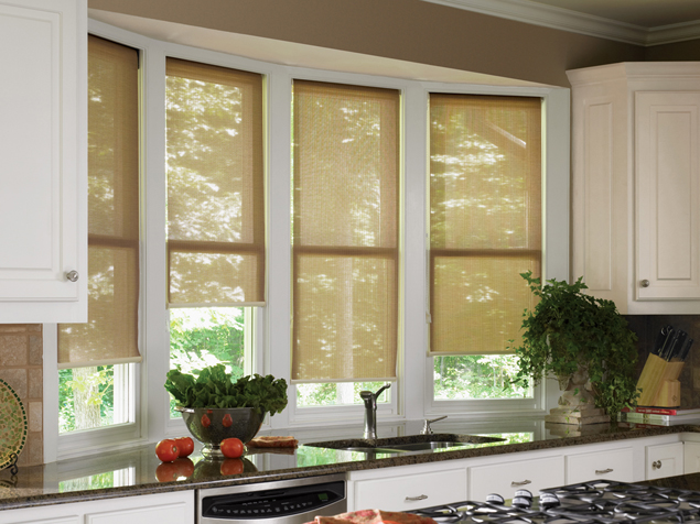 Rediscover the Beauty of Roller Shades