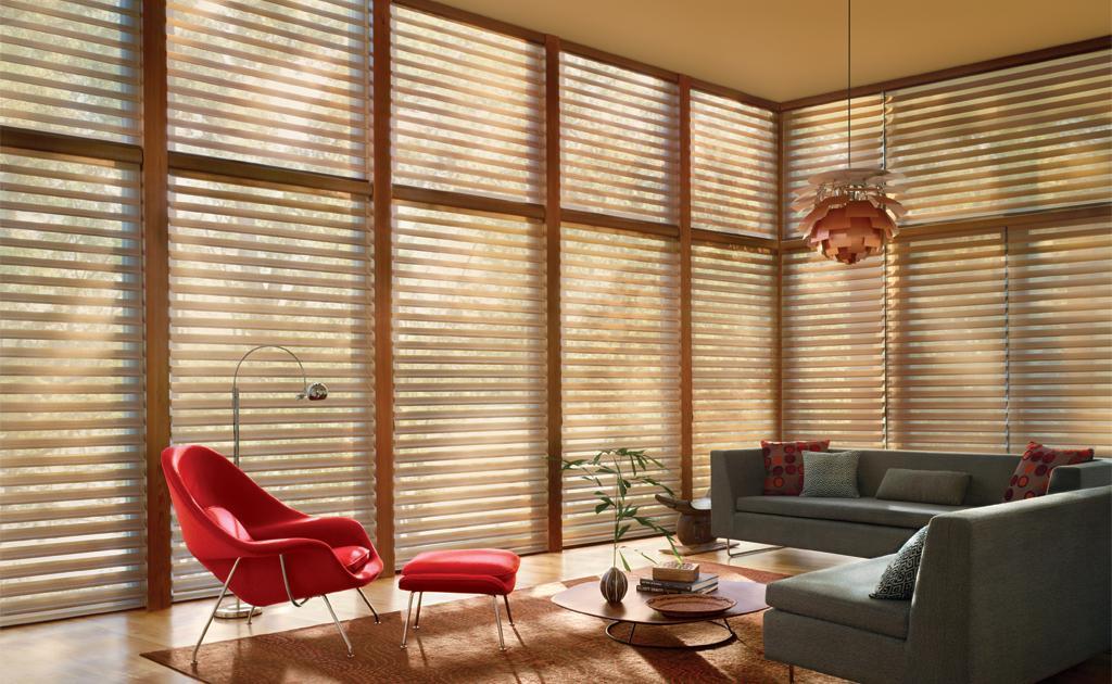 Discover Silhouette Window Shadings