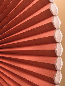 architella_closed_11