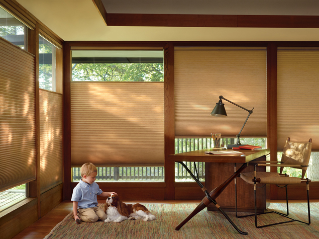 Duette® Architella® Honeycomb Shades