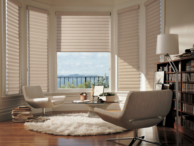 Featured Product – Pirouette Window Shades