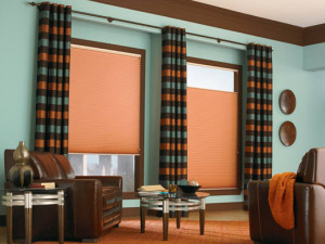 Duette® Honeycomb Shades