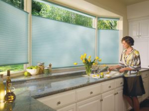 Duette® Honeycomb Shades