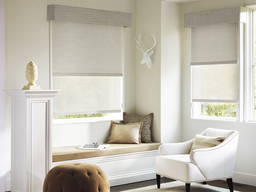 Hunter Douglas Designer Screen Shades