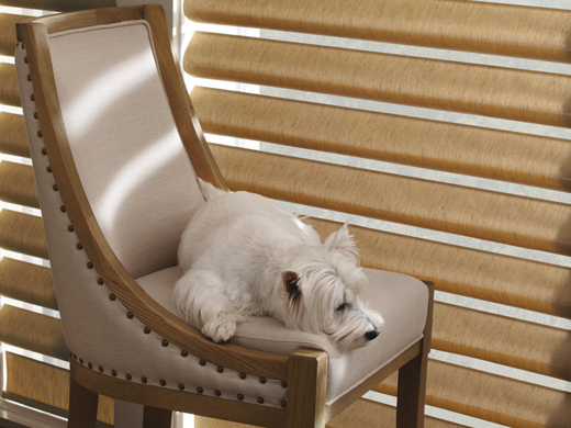 Pirouette Window Shadings From Hunter Douglas