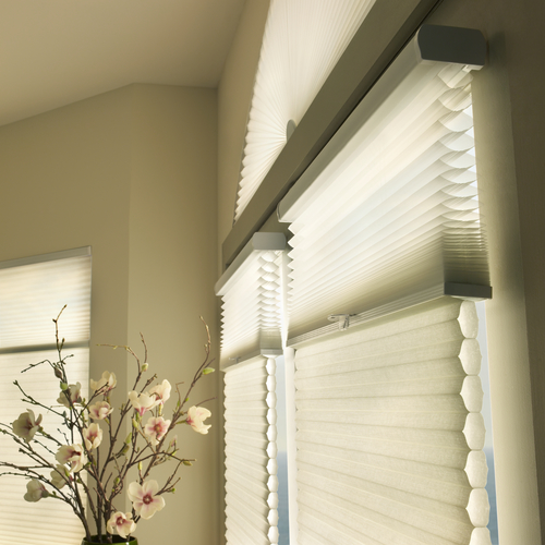 Two Shades in One – Hunter Douglas Dual Function Shades