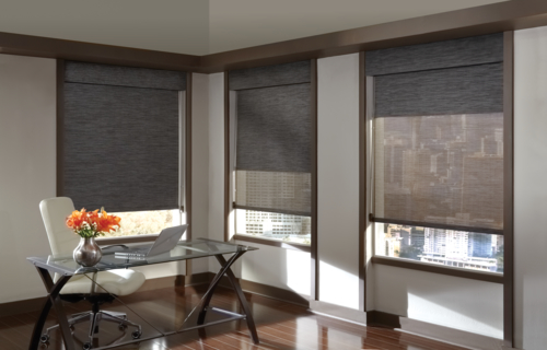 Hunter Douglas Screen Shades