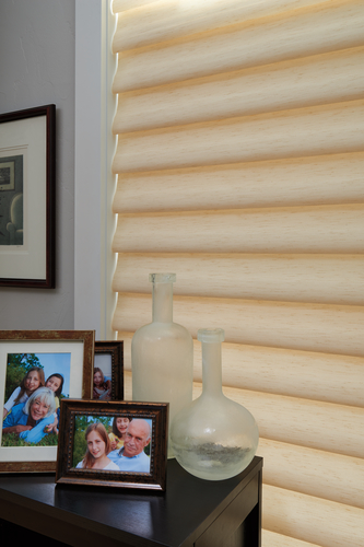 Vignette® Modern Roman Shades in India Silk Fabric