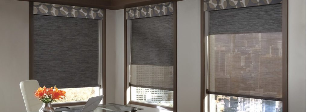 Designer Dual Roller Screen Shades With Contrasting Valance in the Office