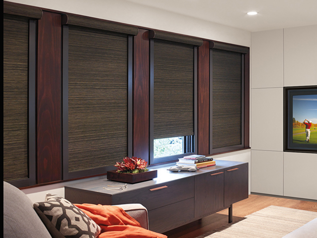 Thinking About Roller Shades?