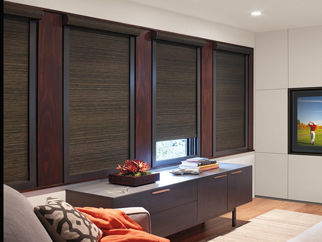 Designer Roller Shades