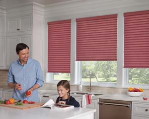 Choosing Roller Shades