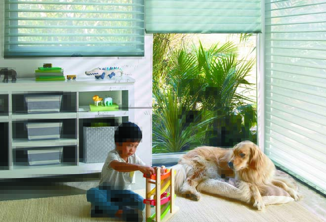 Best Window Fashions for Homes With Pets