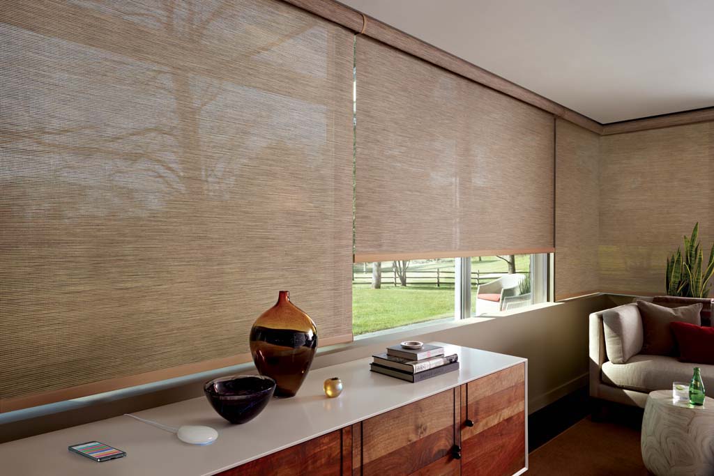 Designer Screen Shades