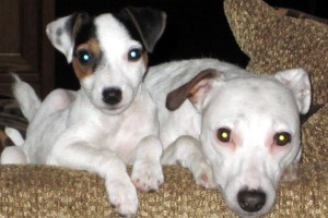 Archie and Edith, Store Mascots