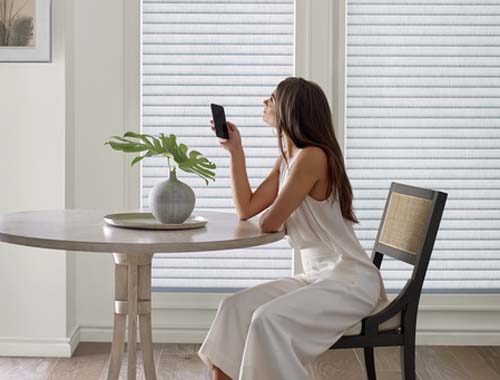 PowerView Motorization