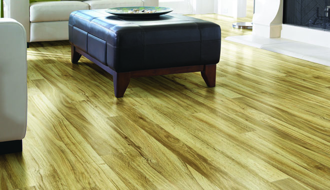 Shaw Luxury Vinyl Flooring