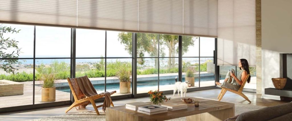 Duette Cellular Shades